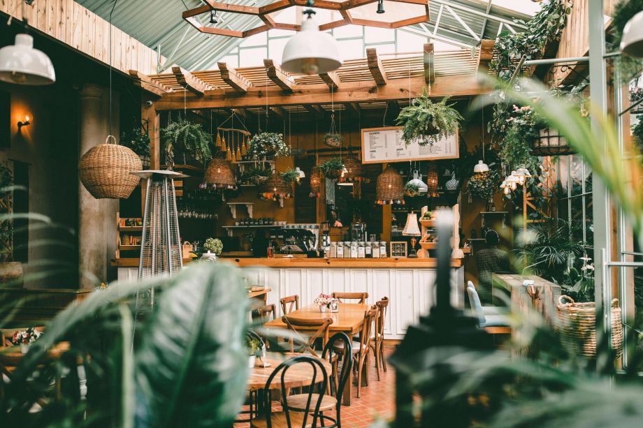 Cozy cafe with wooden decor, hanging plants, and empty tables surrounded by lush greenery.