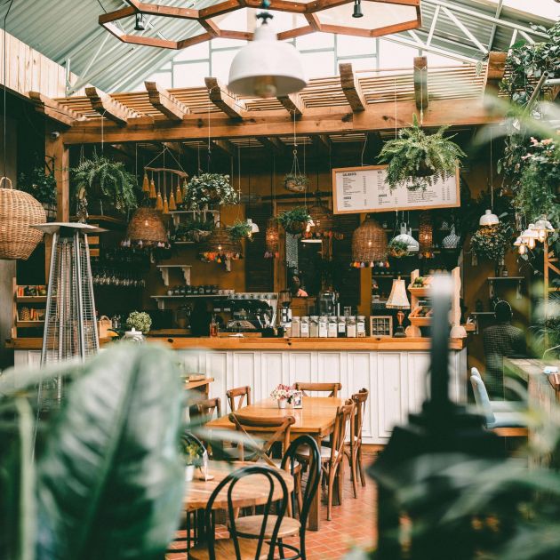 Cozy cafe with wooden decor, hanging plants, and empty tables surrounded by lush greenery.