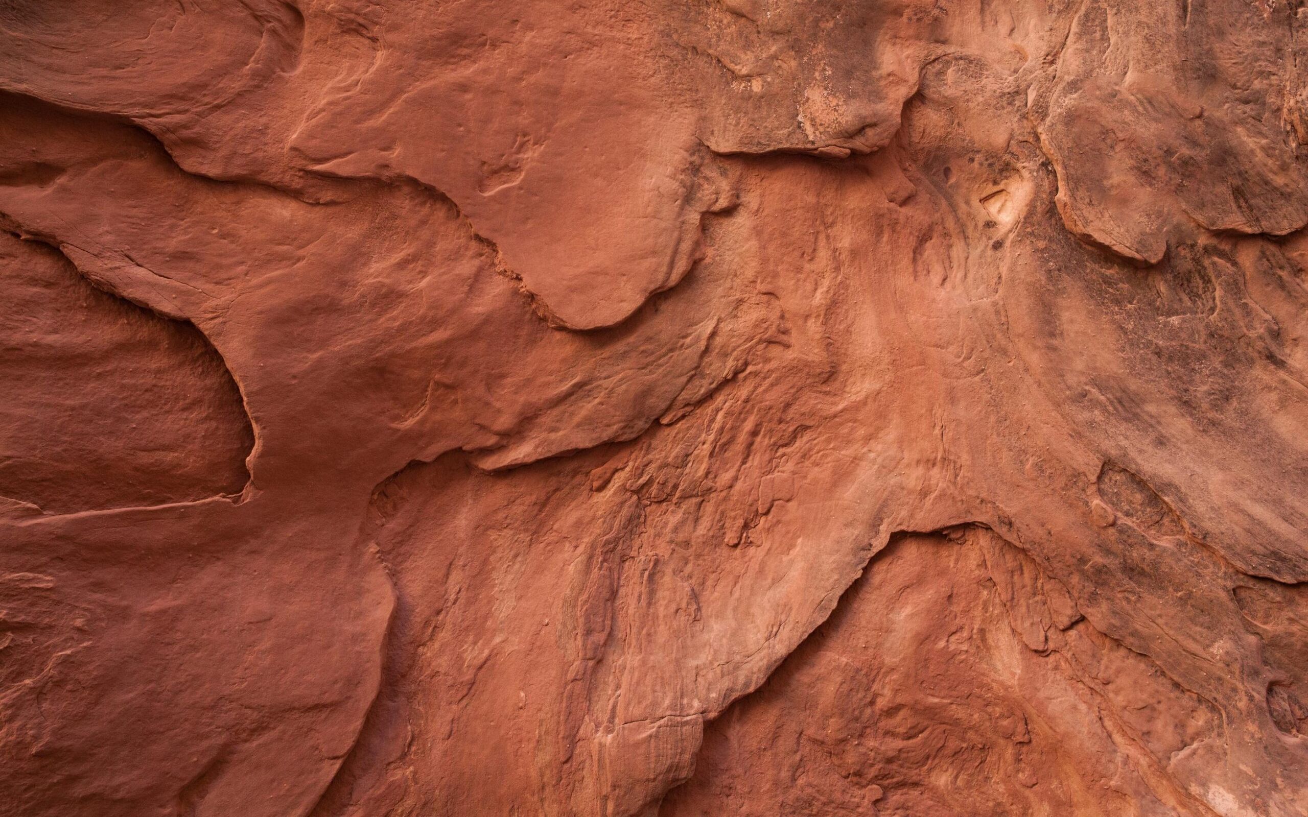 Textured surface of reddish-brown sandstone rock.